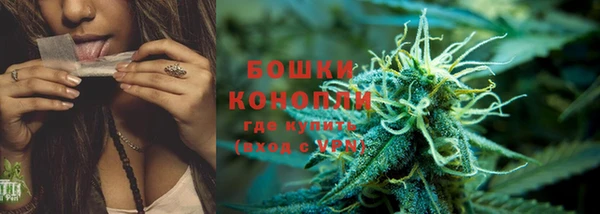 спиды Гусев