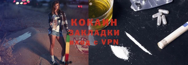 спиды Гусев
