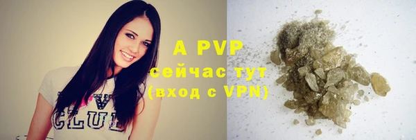 ECSTASY Гусиноозёрск