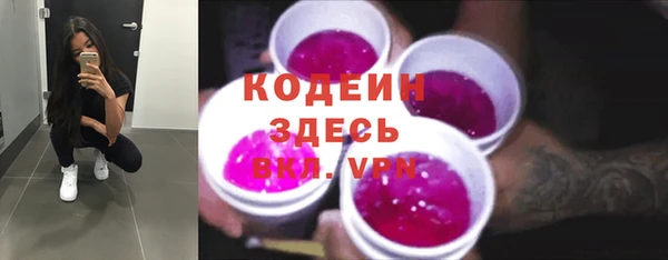 спиды Гусев