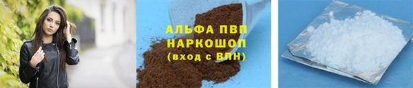 спиды Гусев