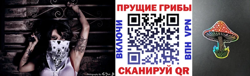 Купить где  Лахденпохья  Галлюциногенные грибы Psilocybine cubensis 